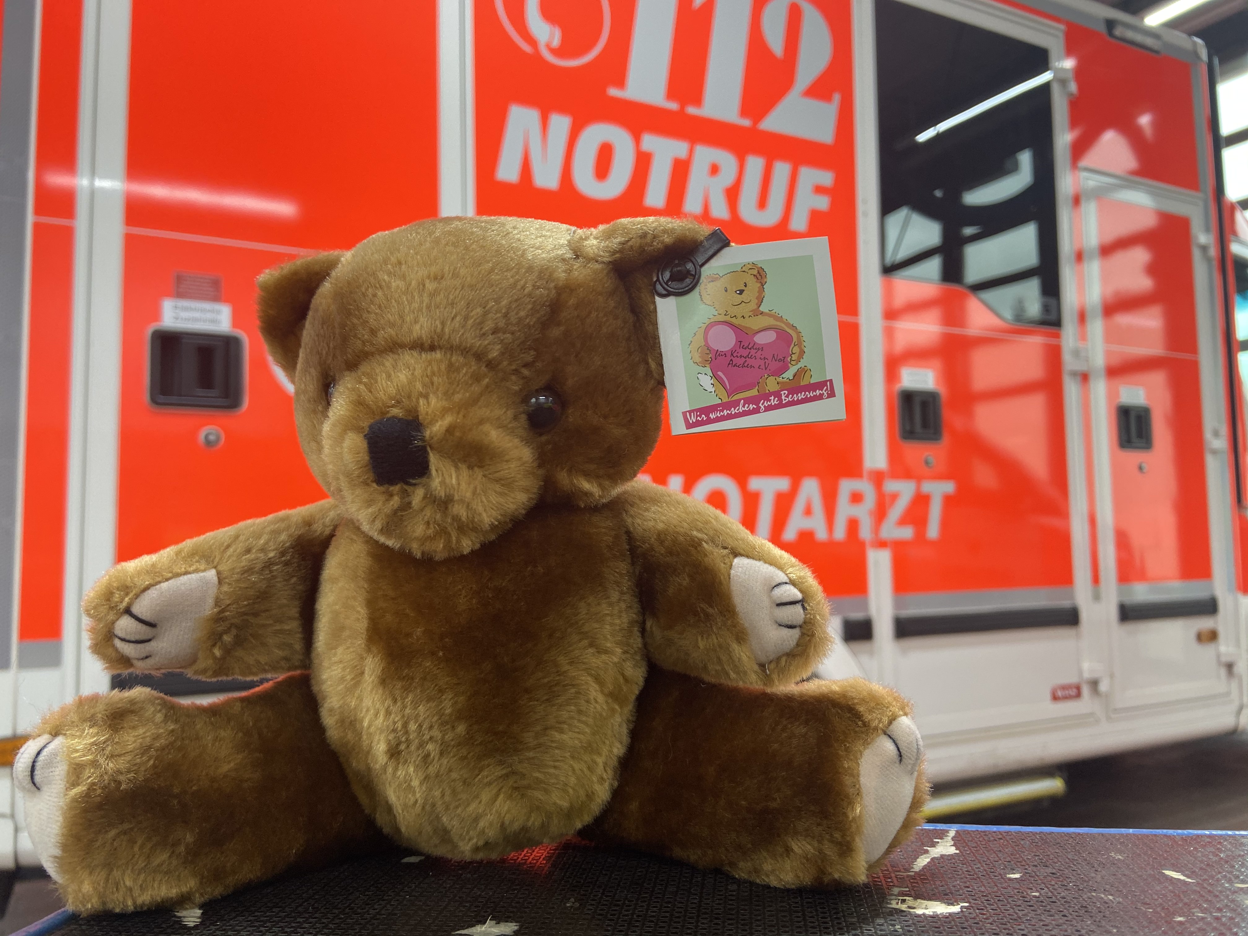 teddy